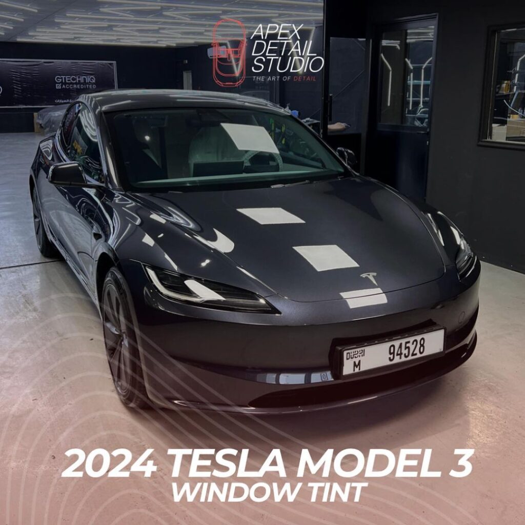 Tesla owners Dubai