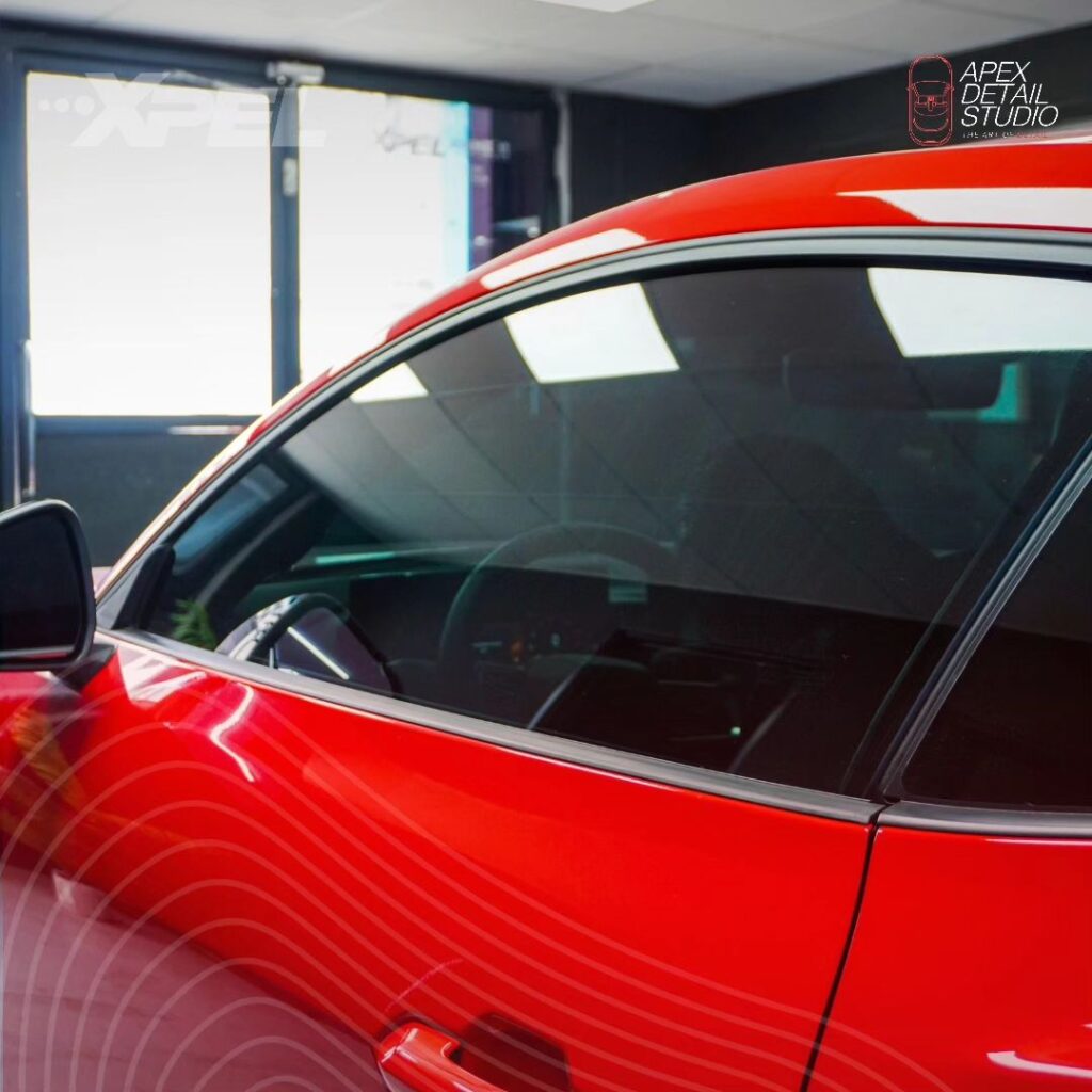 Protect Your Mustang Dark Horse