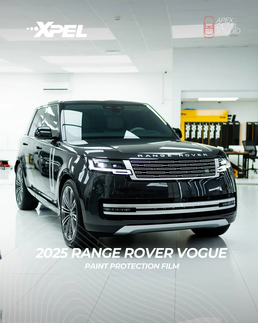 Paint Protection Film