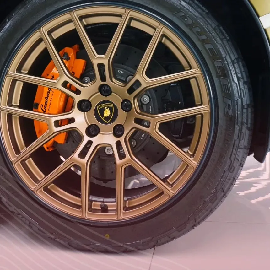 Wheel rim protection
